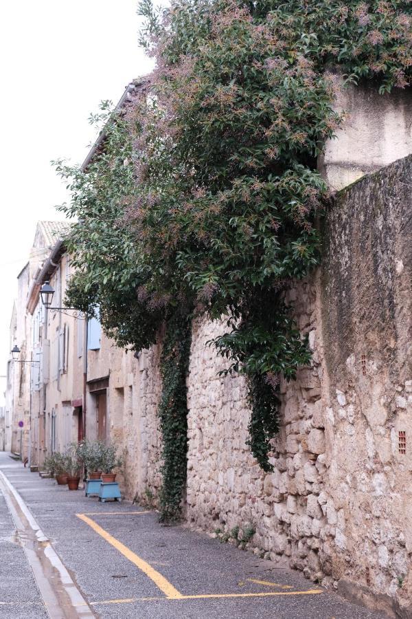 Gite Le Petit Ecolier Lectoure Dış mekan fotoğraf
